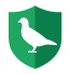 pigeons-green