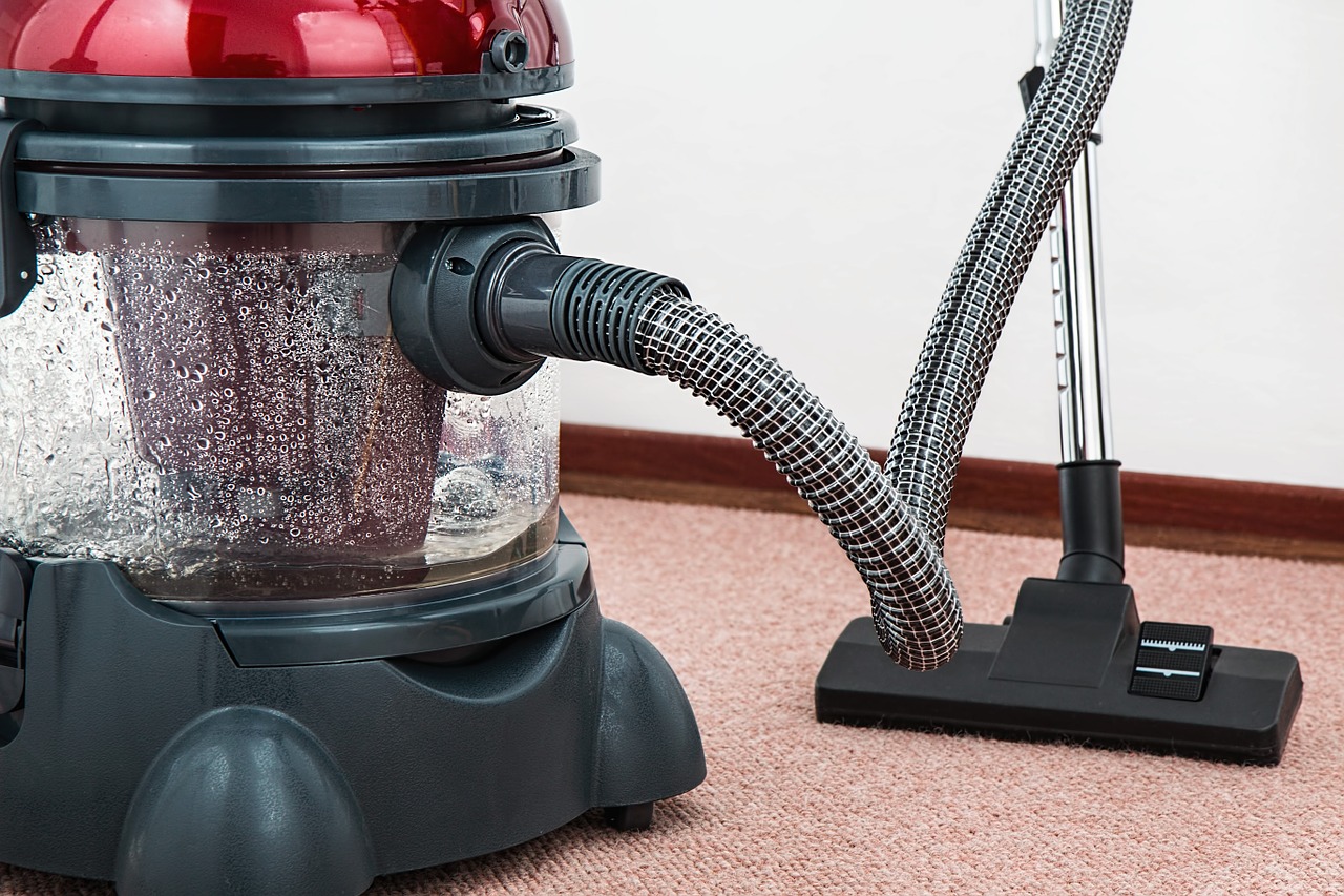 vacuuming carpet for carpet beetles