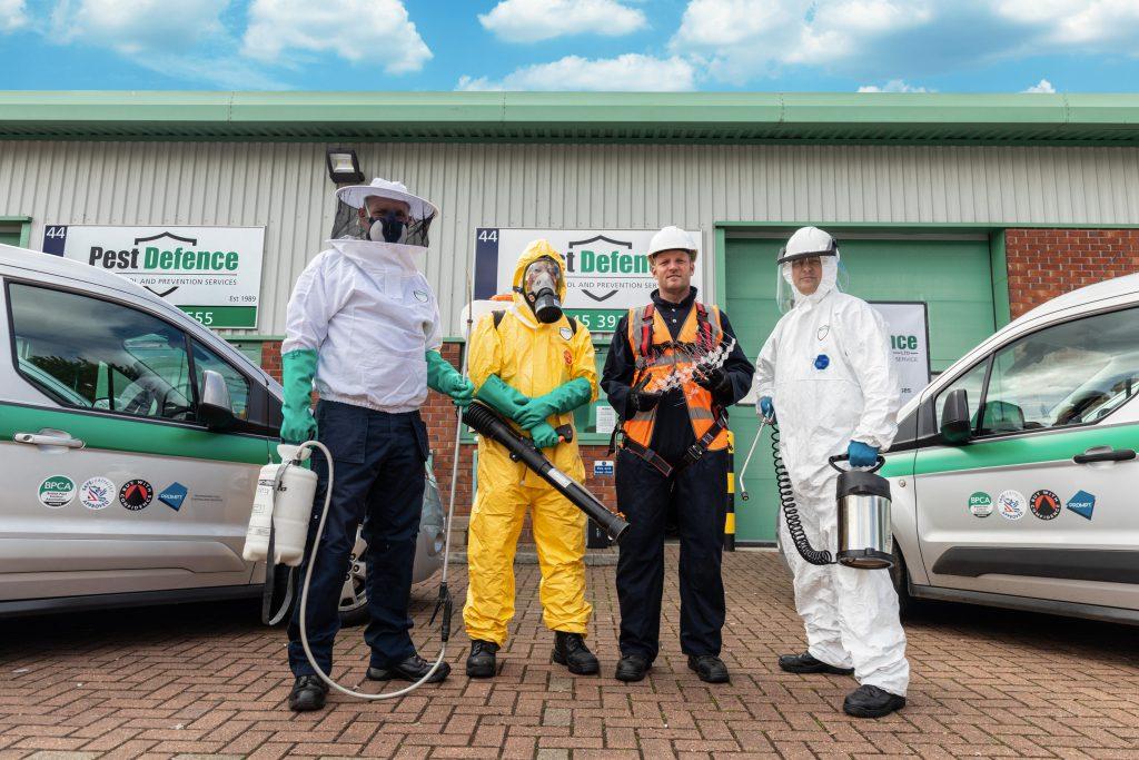 emergency pest control in stanstead by pest defence