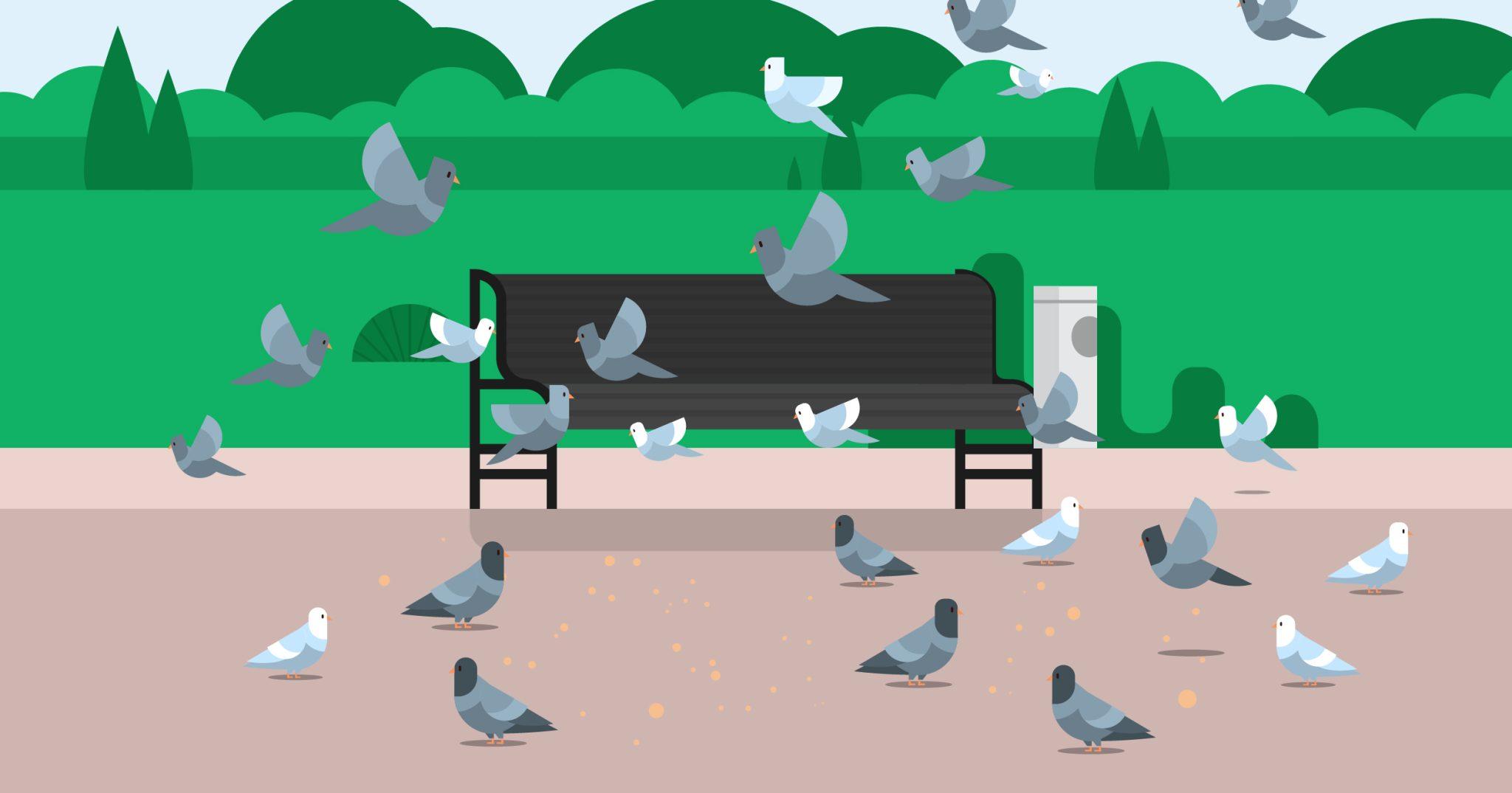 Common problems with pigeons