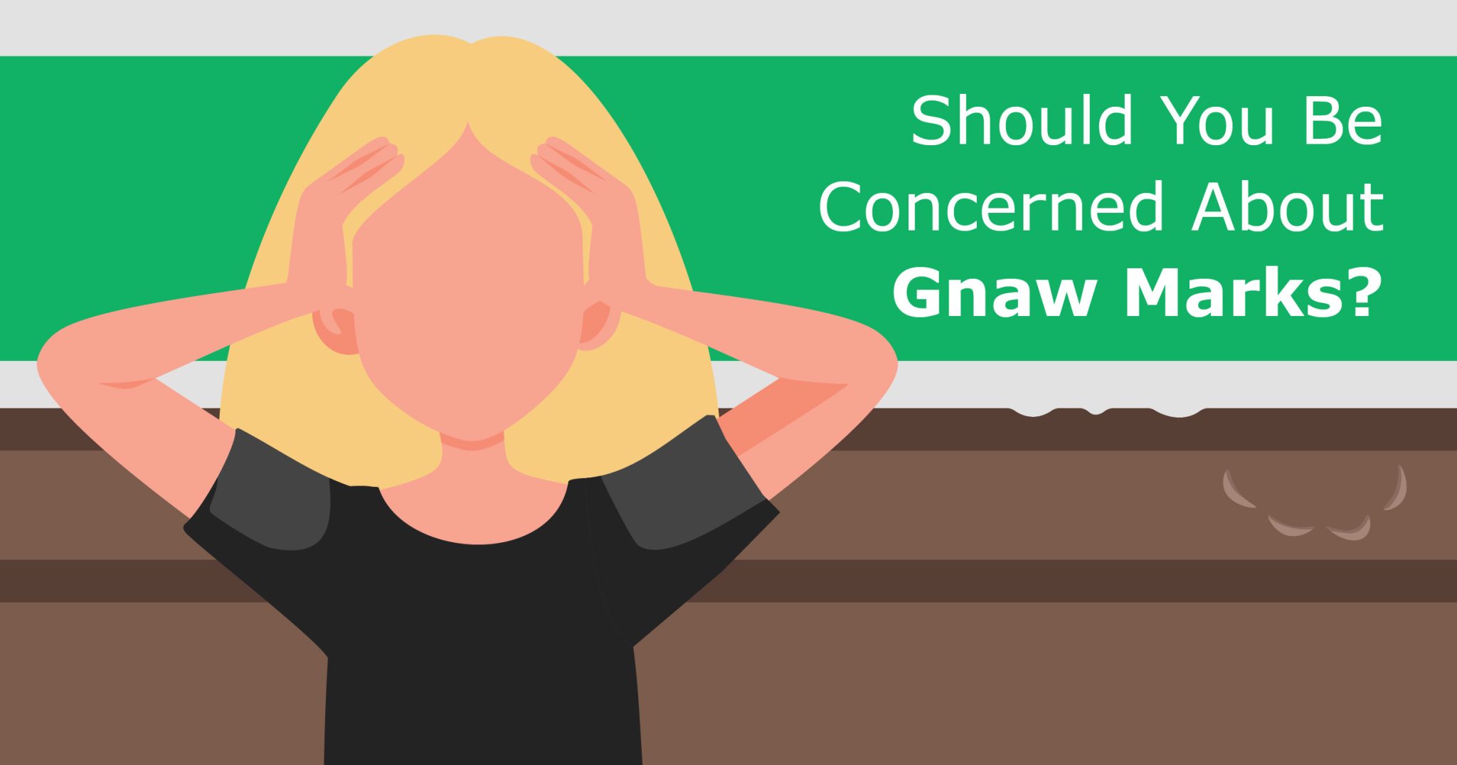 Should You Be Concerned About Gnaw Marks? - Pest Defence